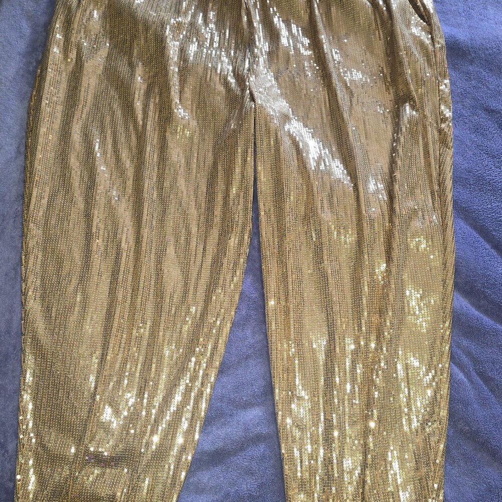 Sequin Pants